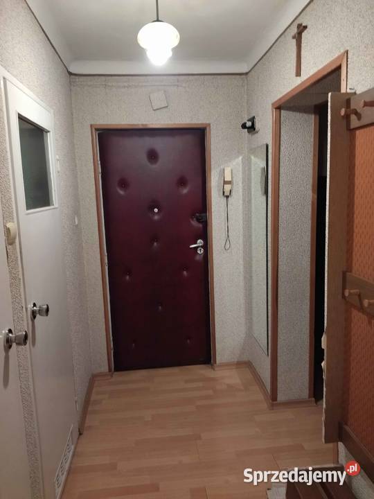 Mieszkanie do wynajęcia Chełm
