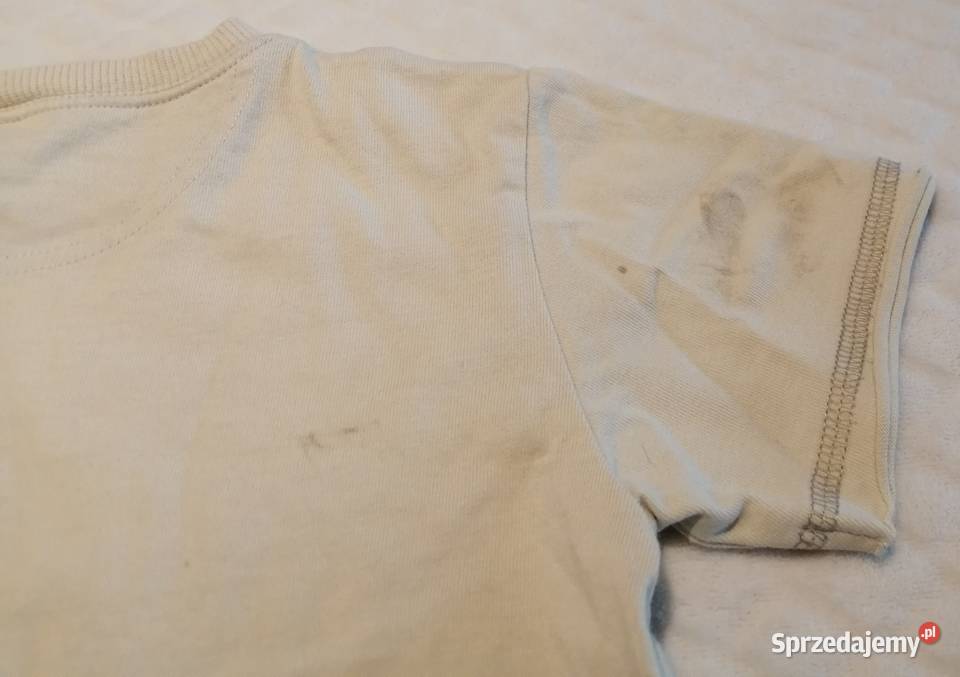 Koszulka krótki rękaw Tshirt safari 98 Next