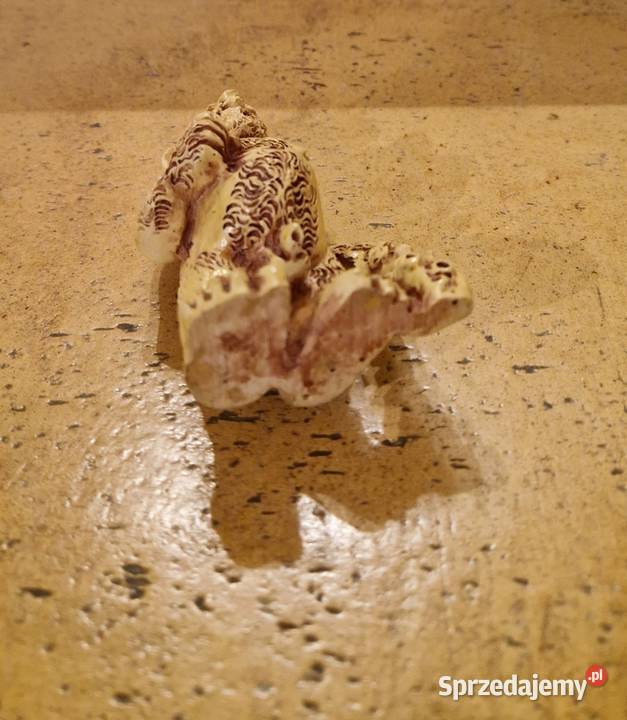 Stara FIGURKA azjatycka z serii JASKINIOWCÓW 1 z Lublin