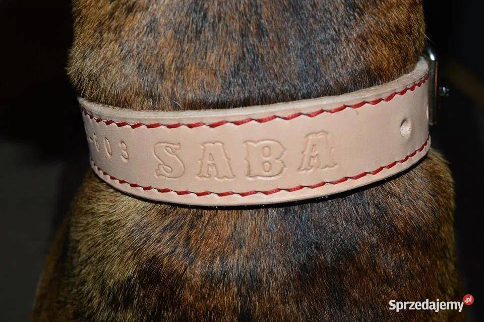 OBROŻA z IMIENIEM psa kota 100 skóra juchtowa no Tarnobrzeg