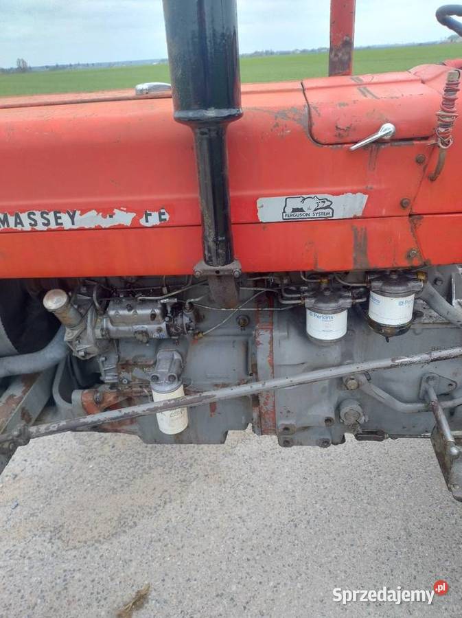 Massey Ferguson 135 nie 255 Przasnysz