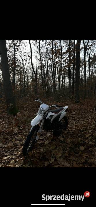 Rfz Lizzard 250300cc Oksa