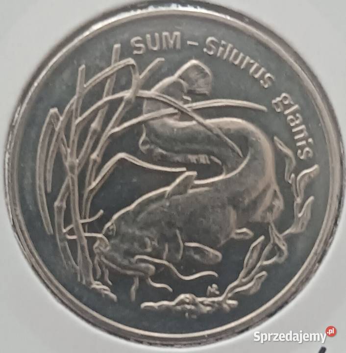 2 Sum 1995 r 2 mennicze holder Konin