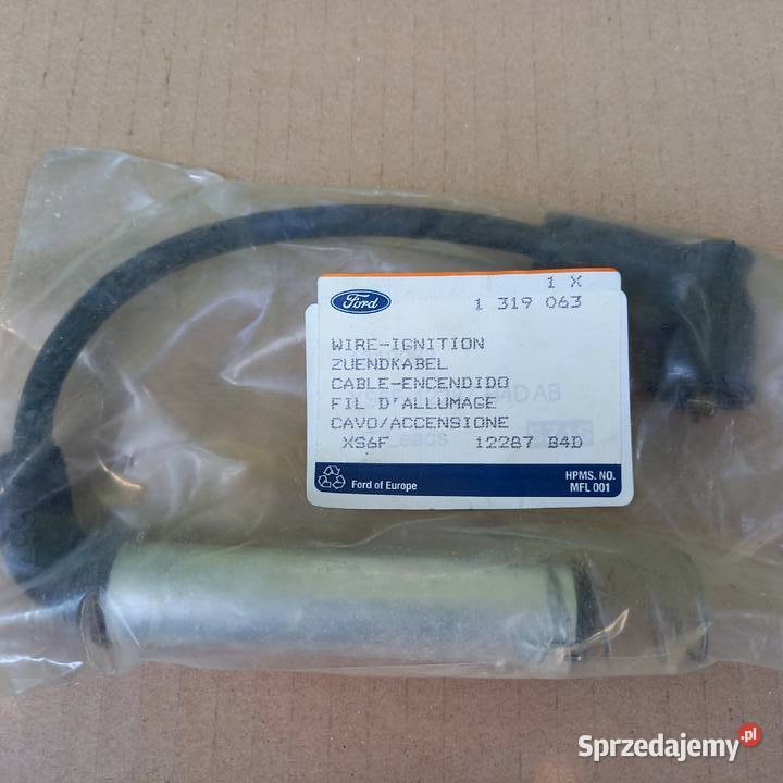 1319063XS6F12287B4D Układ elektryczny silnika Kraków