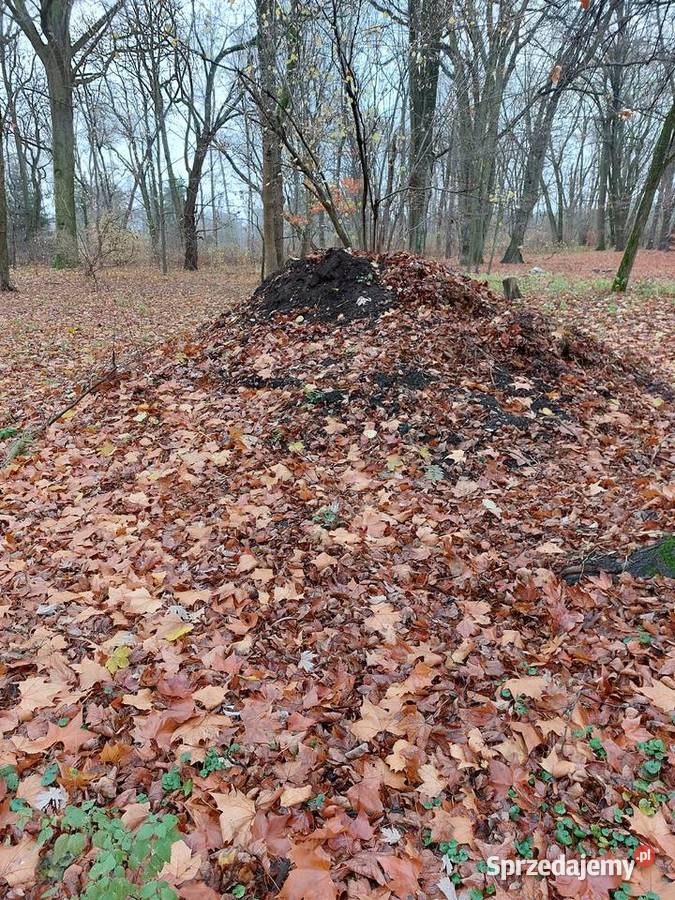 kompost torf z liści parkowych drzew Grodzisk Mazowiecki sprzedam