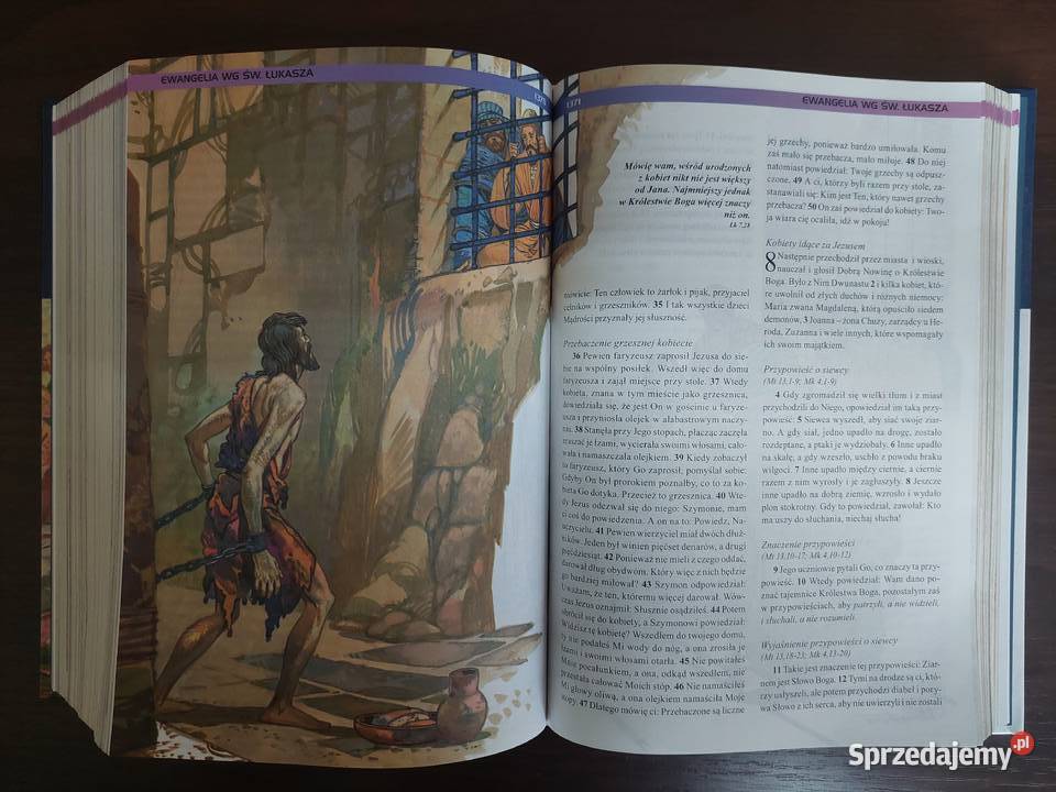 Biblia Ekumeniczna z ilustracjami