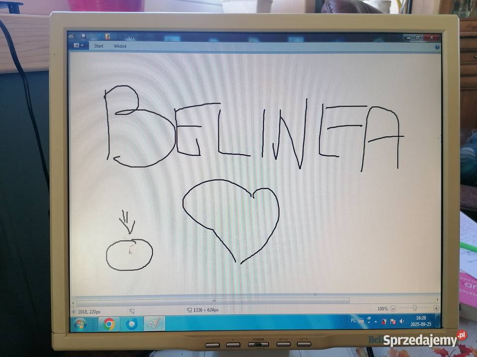 Retro monitory LCD różne przekątne ekranu różny Sierakowice