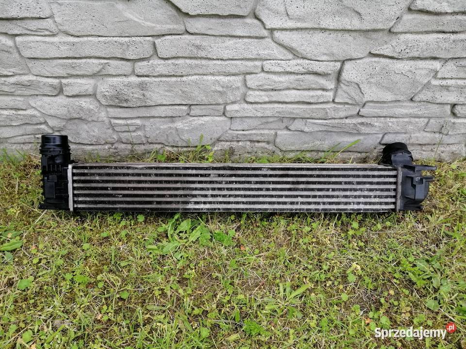 Intercooler renault scenic 3 15dci osobowe Kobylnica