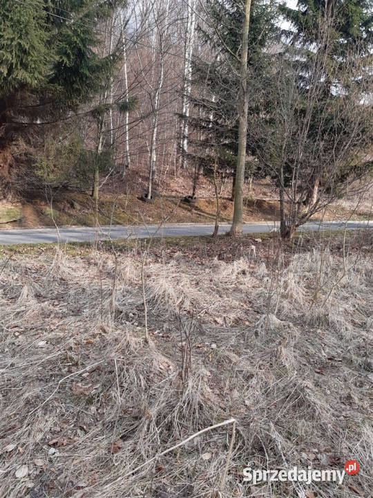 Grunt Niedźwiedzica