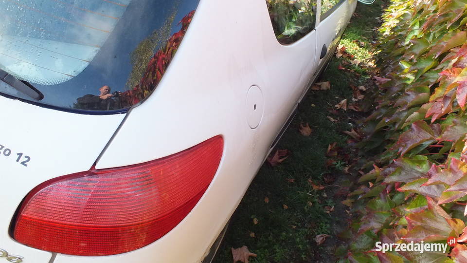 Peugeot 206 19d 16b 14hdi 3 i 5drzwiowy części diesel Kalisz