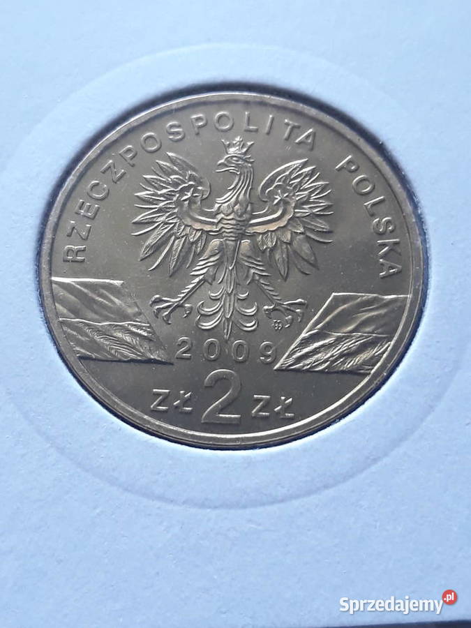 2 Jaszczurka Zielona2009 rUNC wielkopolskie Konin