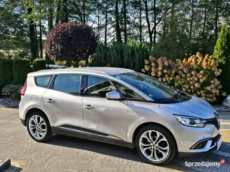 Renault Grand Scenic 1.3 Tce / I-właściciel / Serwisowany w ASO / Bezwypad…