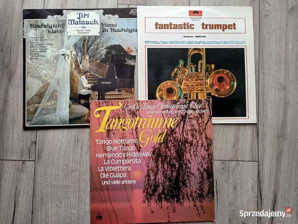 Trzy albumy winylowe z nastrojową taneczną 1 płyta Wronki