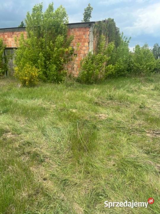 Zarządca sprzeda działkę przemysłową Sochaczew