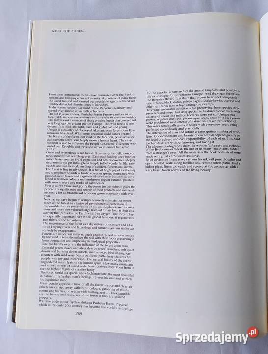Spotkanie z lasem C sprzedam