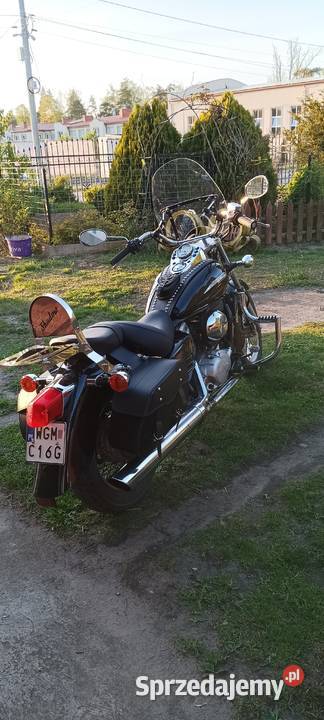 Honda shadow Międzyborów