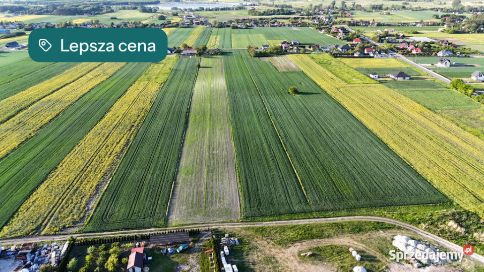 działki z WZ koło Zamościa Pniówek