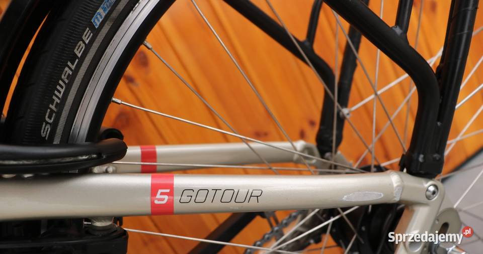 Rower elektryczny Flyer Gotour 5 D 53 I inne Milanówek sprzedam