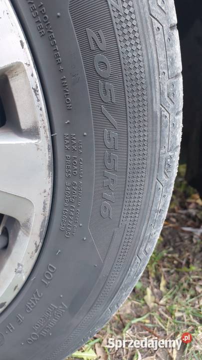 1taki Volgswagen Golf VII 16 Diesel 81KW Polska