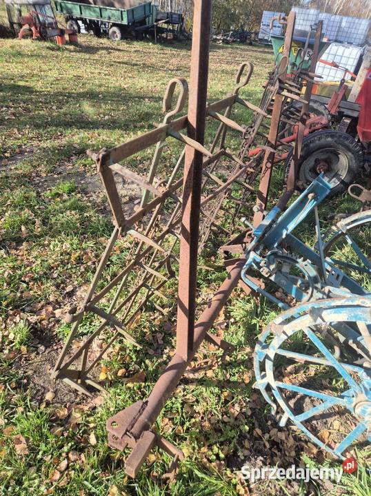 Brony trójki brona małopolskie Bucze