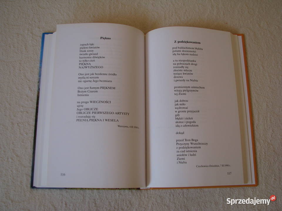 Niebo i Ziemia zbiór poezji s Aldona Teresa poezja Brzegi