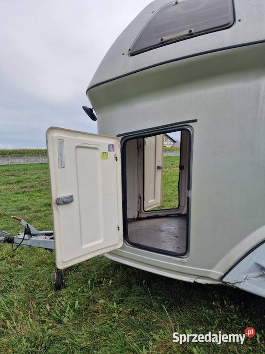 Przyczepa do przewozu koni SLUIS Olymp świętokrzyskie Piekoszów