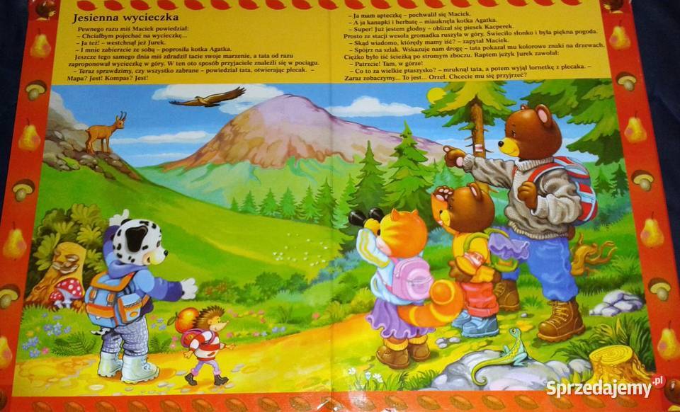 Przygody misia Maćka Justyna Święcicka Chełm sprzedam
