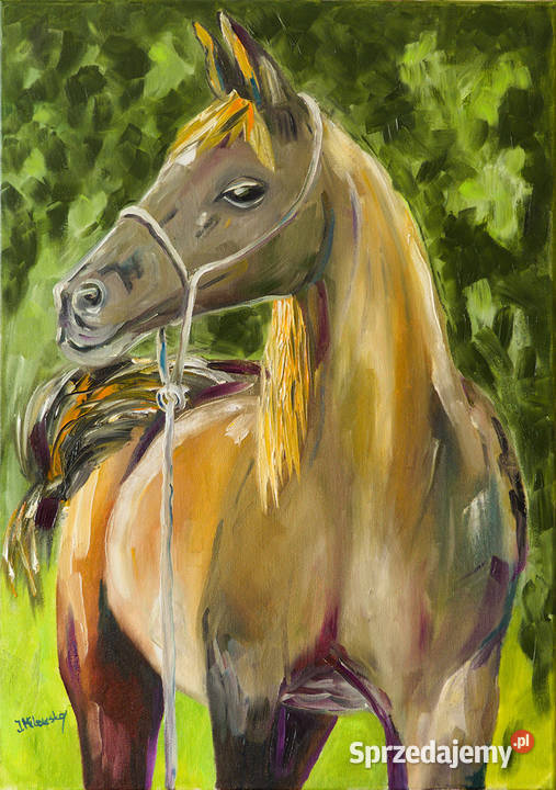 Koń- obraz olejny 70x50 cm