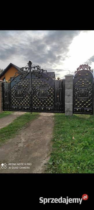 Brama dwuskrzydłowa Architektura ogrodowa Ustroń