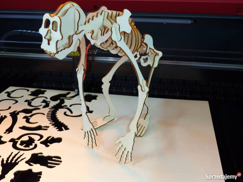 Ploter laserowy do cięcia tkaninpleksy Grodzisk Mazowiecki