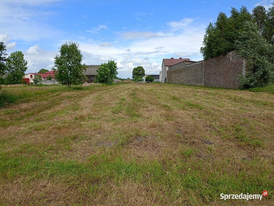 Działka rolna 2800m2 97352 Dobrenice Nieruchomości Piotrków Trybunalski