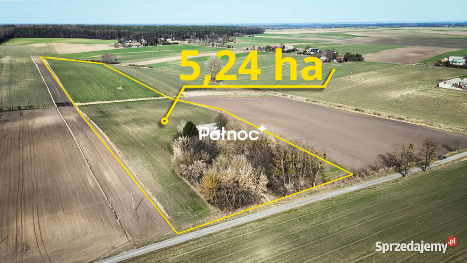 Działka rolnosiedliskowa w Szpikołosach 524 ha Szpikołosy