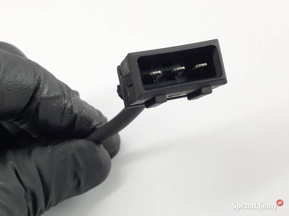 Cewka Fajka Benelli Bn 302 Łódź