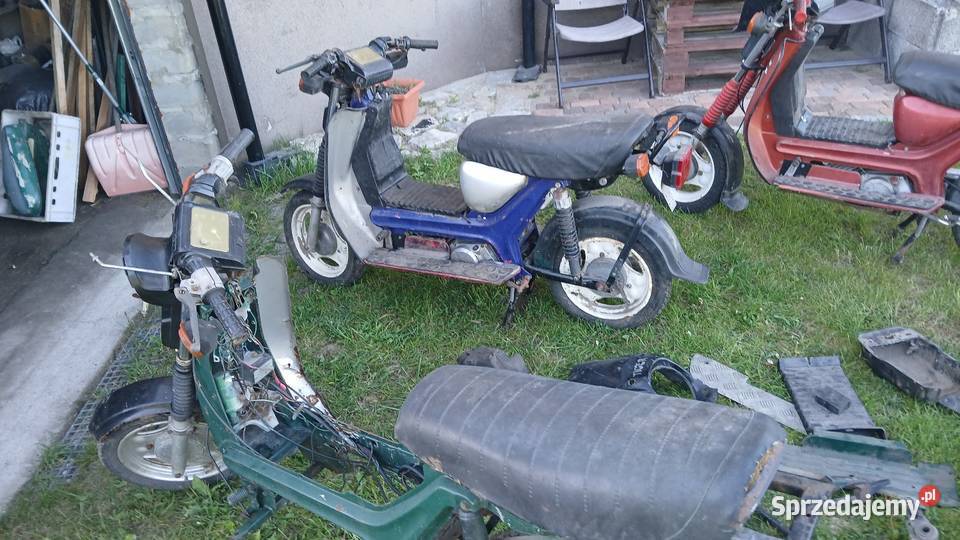 Simsony sr 50 sprzedm zamienie caly pakiet Kartuzy