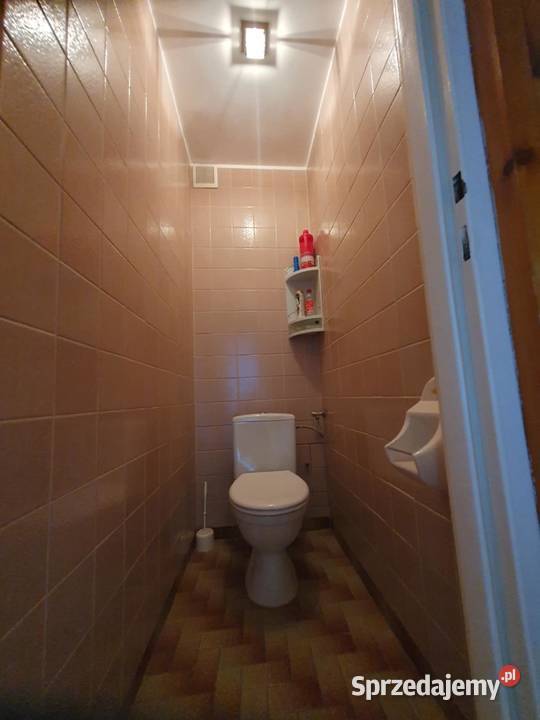 samodzielne mieszkanie Koło