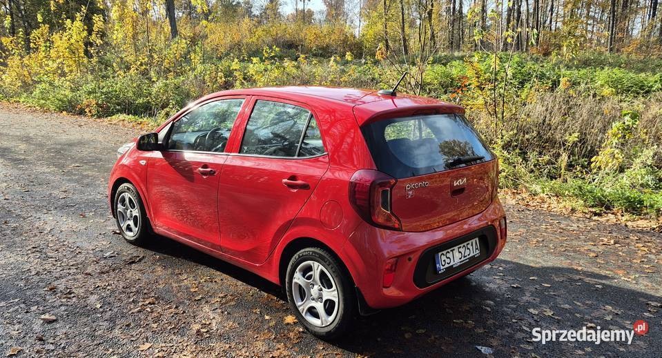Kia Picanto 12 M Smętowo Graniczne