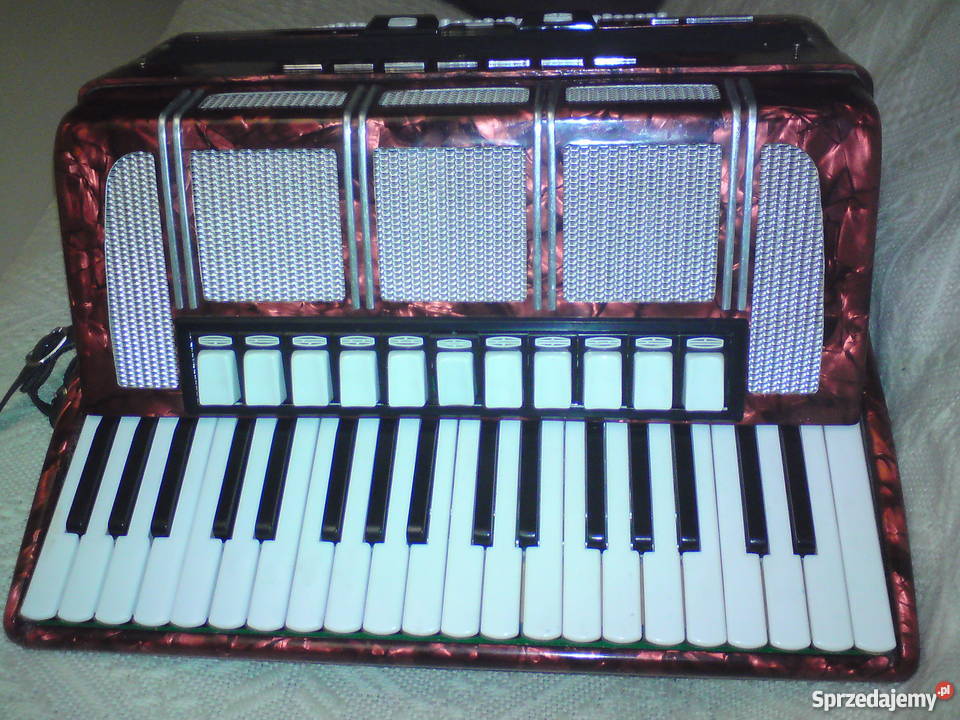 Akordeon Delicia lubelskie Nieledew