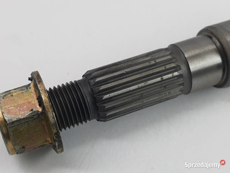 Walek Cpi Aragon Łódź