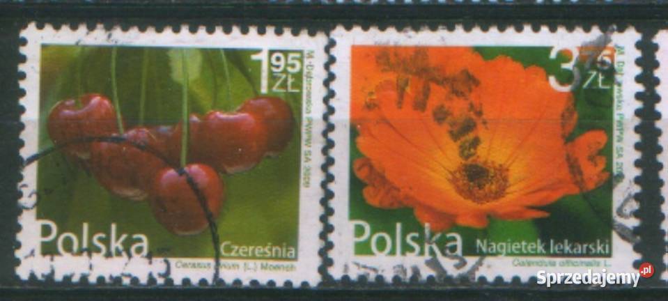 Zn Fi 4288 9 313 kas 2009 Kolekcje śląskie Gliwice