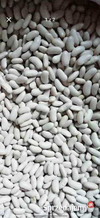 Fasola lubelskie Metelin