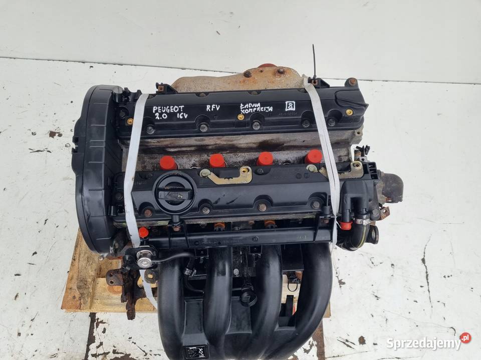 SILNIK KOMPLET Fiat Ulysse 20 16V ładna osobowe Rudka