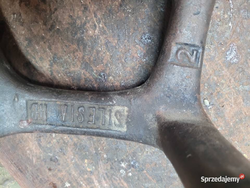 KOPYTO SZEWSKIE TRÓJNIK Wrocław