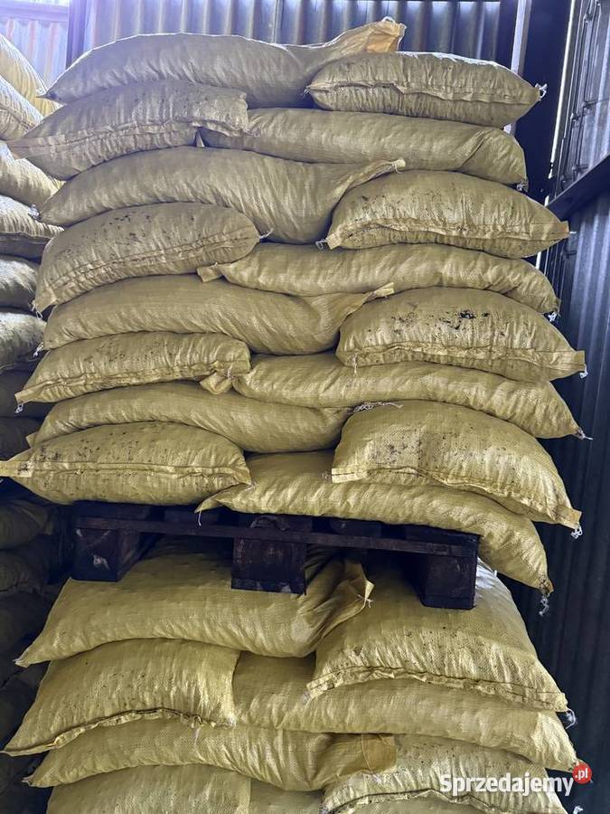 Ekogroszek Workowany luzem