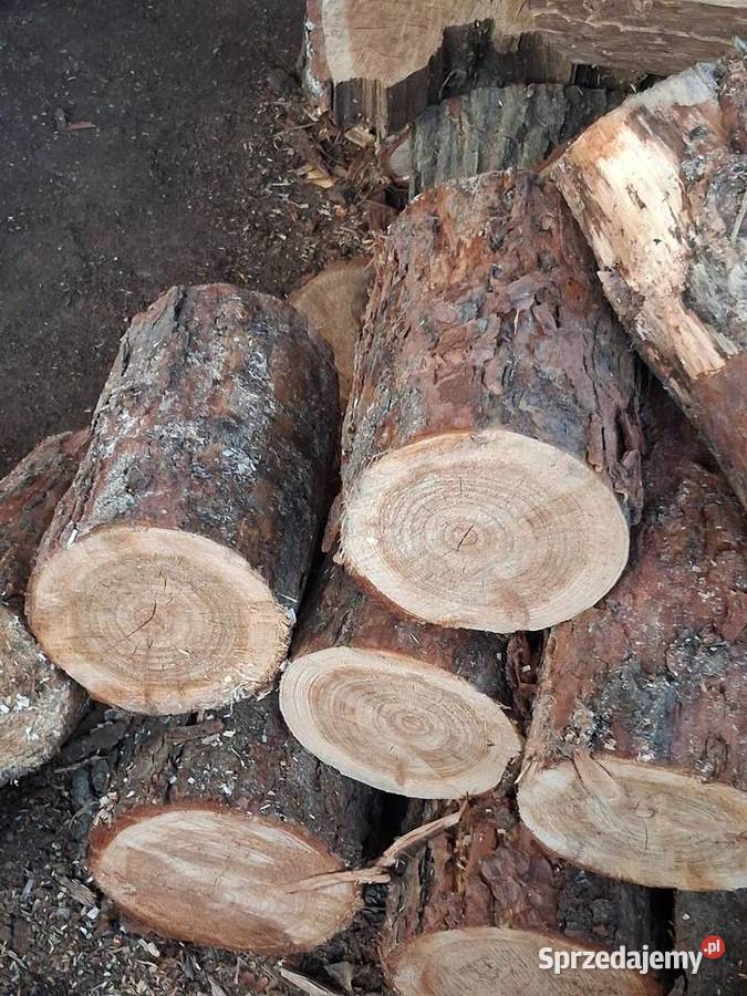Sprzedam drewno opałowe sprzedam