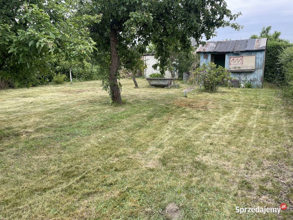 Działka ogrodowa ROD JUBILAT 3 ary Piastowska 50