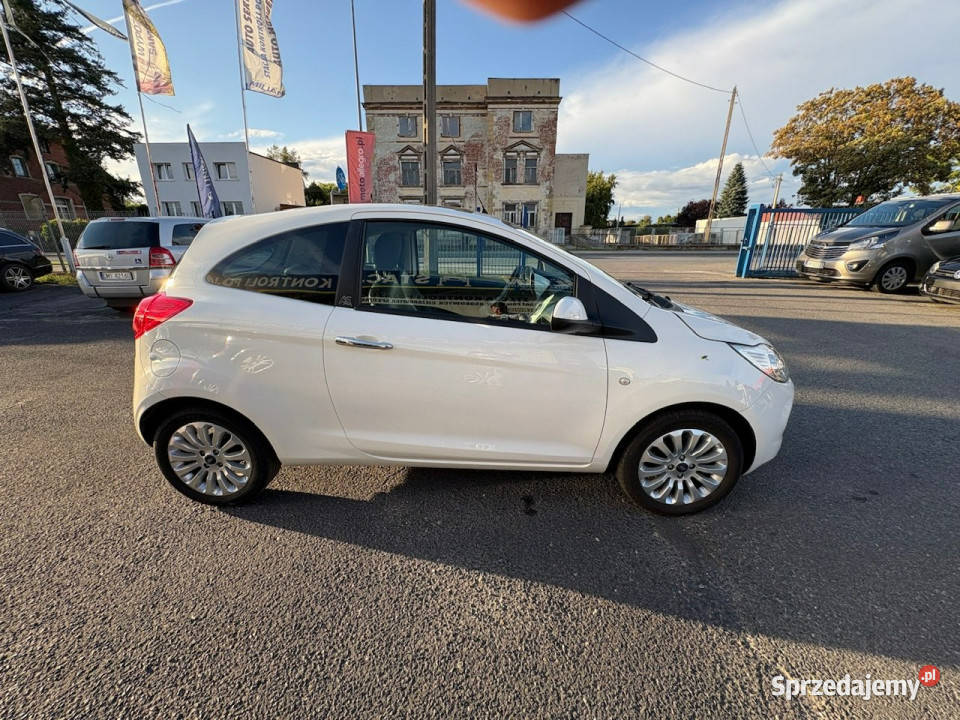 Ford KA Ford KA 12 Champions Edition Klima Rok produkcji 2012 dolnośląskie Syców
