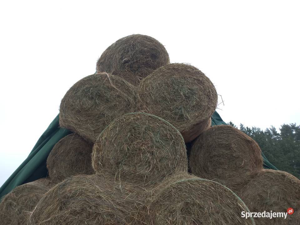 Sprzedam siano warmińsko-mazurskie Mikołajki