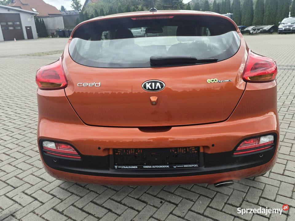 Kia Pro Ceed 16Benz ProCeedNaviLedyKamera wielofunkcyjna kierownica Kutno
