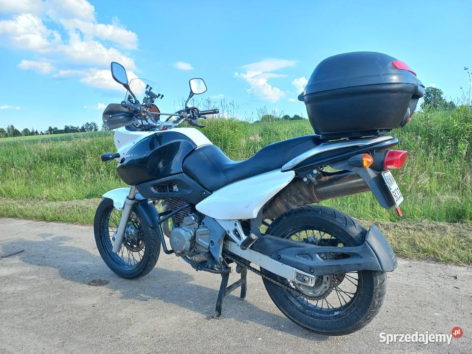 Suzuki XF 650 Freewind motocyklistki Suzuki Łysokanie