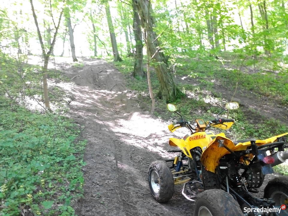 Quad Bashan 250 Okazja manualna Nakło nad Notecią